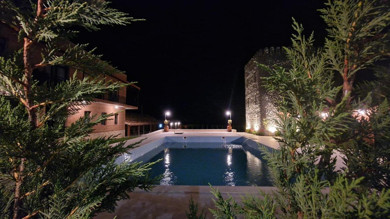 Giorgi Ushikishvilis Chateau-Marani Akhmeta Exteriör bild