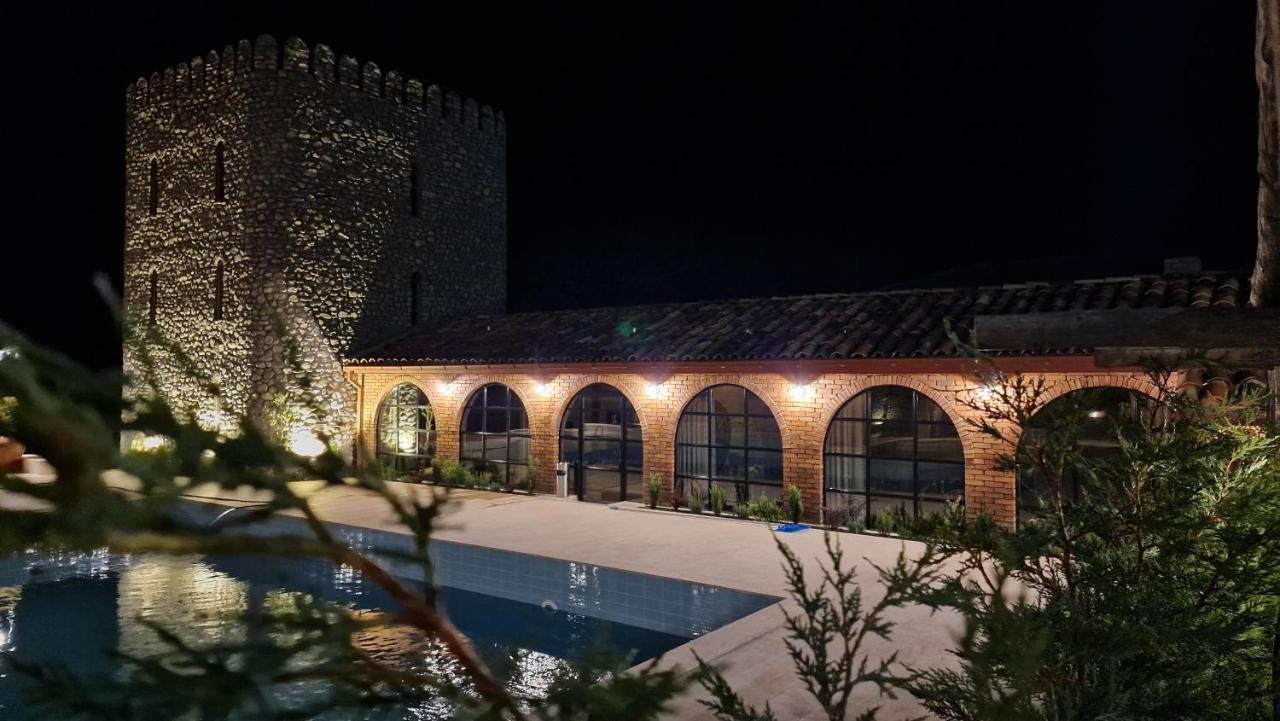 Giorgi Ushikishvilis Chateau-Marani Akhmeta Exteriör bild