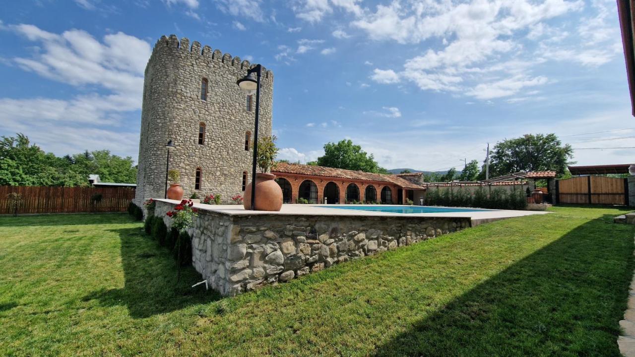Giorgi Ushikishvilis Chateau-Marani Akhmeta Exteriör bild