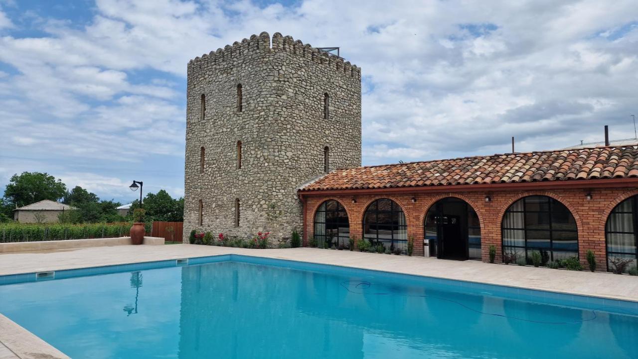 Giorgi Ushikishvilis Chateau-Marani Akhmeta Exteriör bild